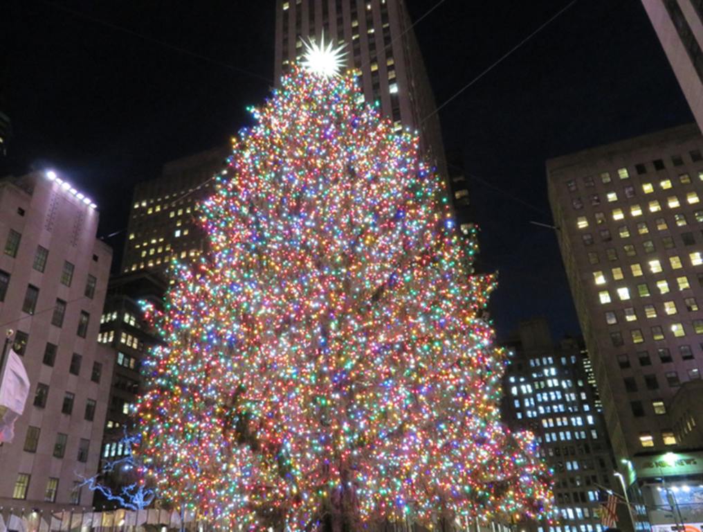 Image of a large Christmas tree in the city