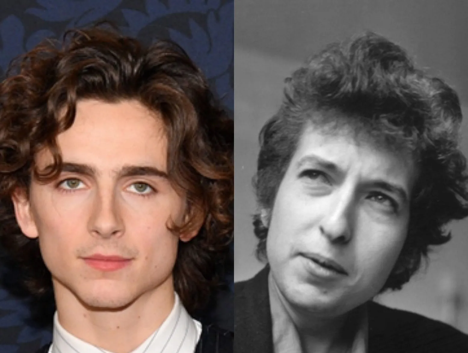 Timothee Chalamet Cast as Bob Dylan in New Biopic