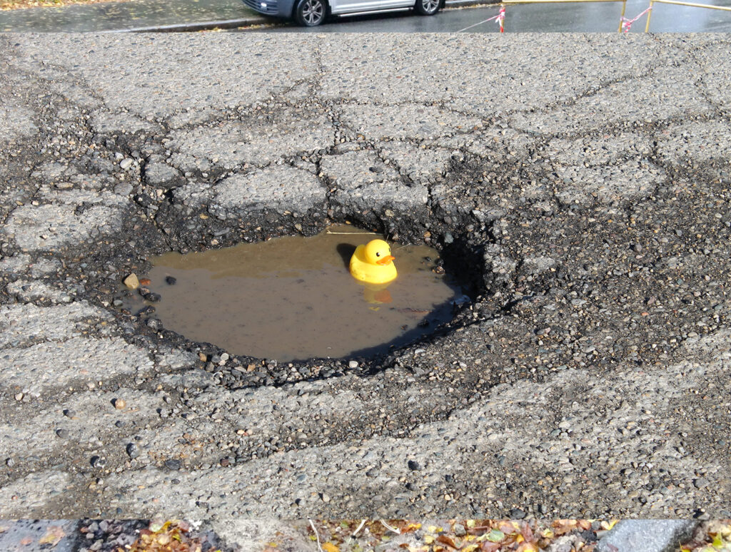 Ducky in Michigan Pothole