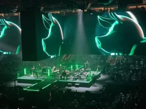 Pigs: the special effects and visuals of Roger Waters' show were top-notch.