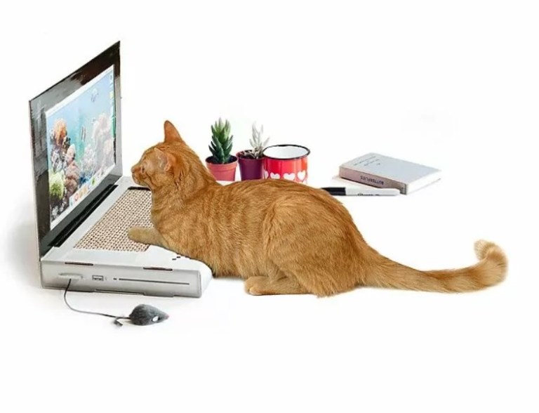 laptop cat scratching pad