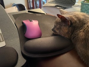 A pink computer mouse sits on a black mouse pad. A cat is sleeping with her chin on the wrist cushion of the mouse pad.