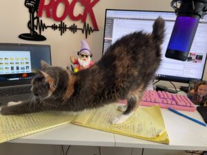 a cat stretches across a radio DJ work desk. The cat's behind is dangerously close to the microphone.