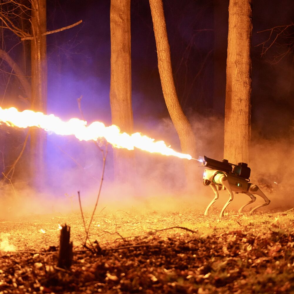 robot dog with flamethrower is real 
