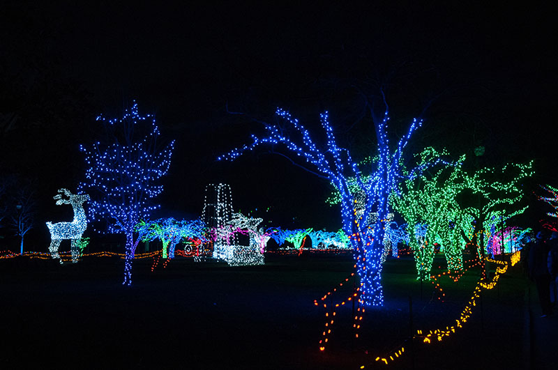 Christmas lights at Detroit Zoo 11/24/2017